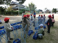 【1年生】アサガオのつる