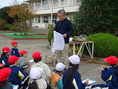 ミュージアムパークから先生が来てくれました!②~1・2年生昆虫探し編~