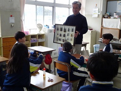 ミュージアムパークから先生が来てくれました!③~3年生昆虫のからだの授業編~