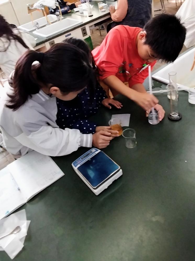 1028   5年生の理科の実験〜学び込む姿〜