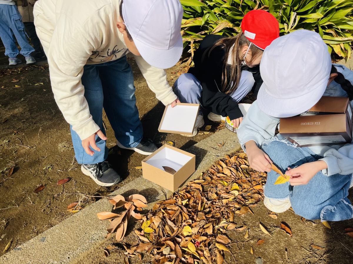 11月11日 落ち葉拾いをして、オリジナルの秋の飾りをつくりました!