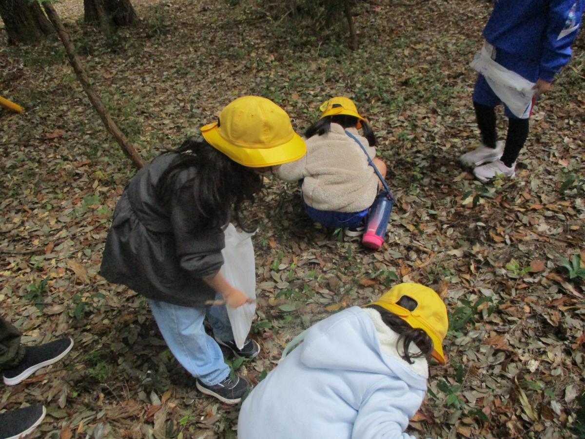 1・2年生ゆかりの森校外学習