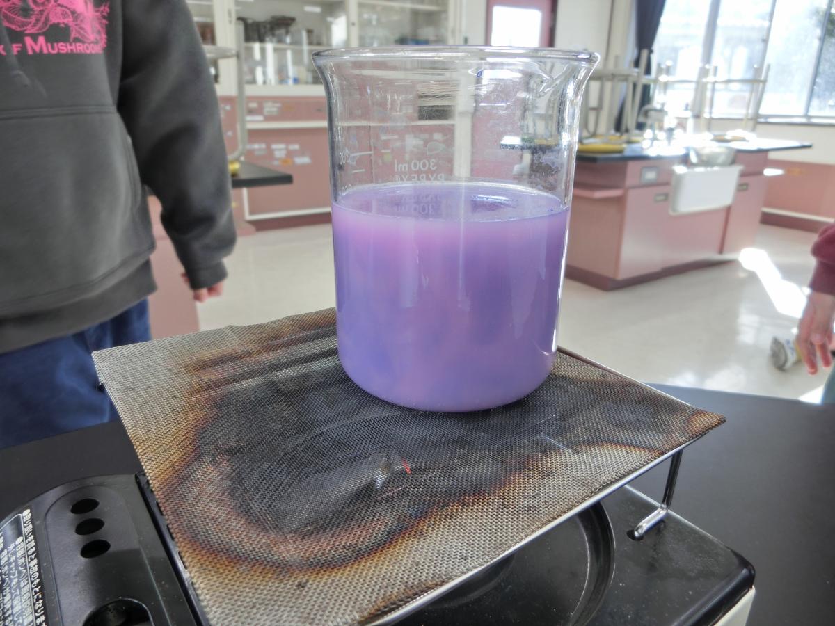 理科の学習「水のあたたまり方」