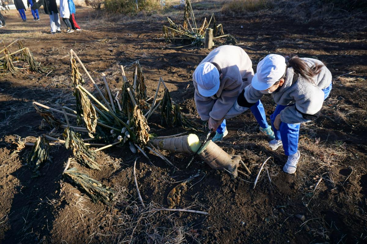 パパイヤ 1年間ありがとう!