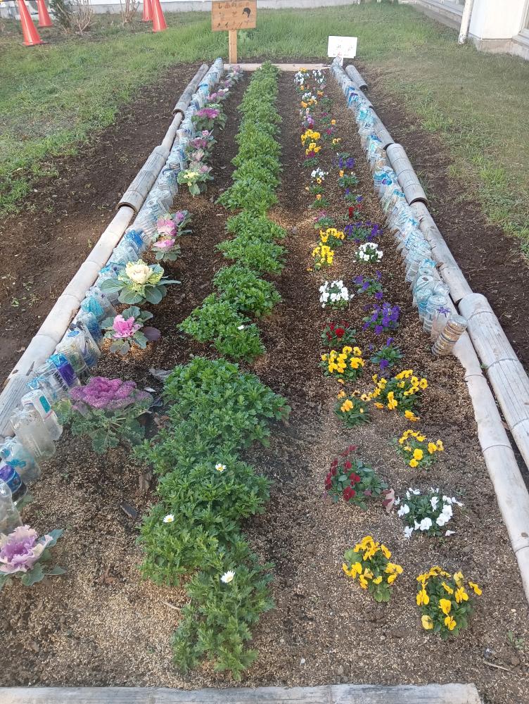 1229 SDG's花壇〜サステナブルラボ〜