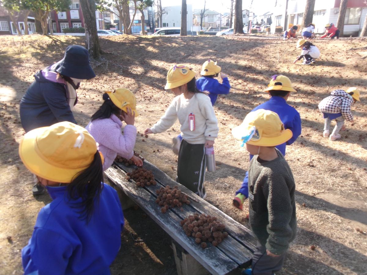 【1年生】つくばスタイル科 ふゆのいろさがし