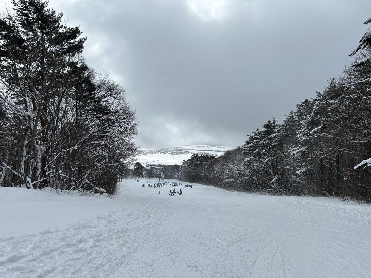 7年生 校外学習2日目のスキー講習頑張ってます