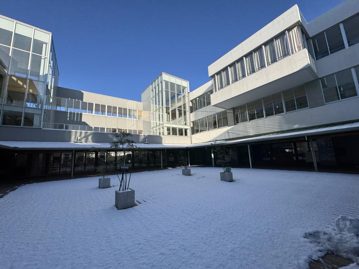 雪がふりました