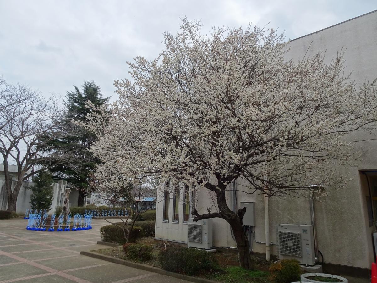 長寿命化工事が進んでいます