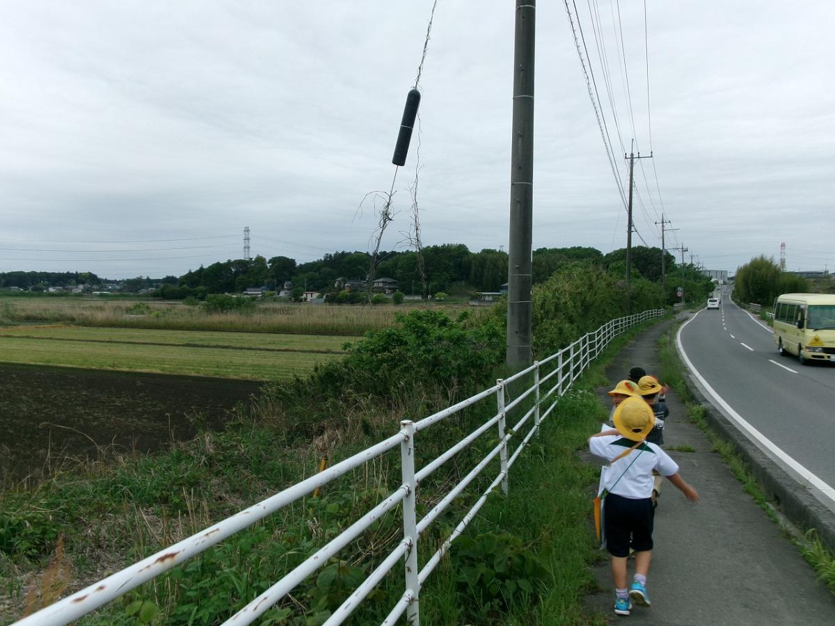 3年生 学区探検