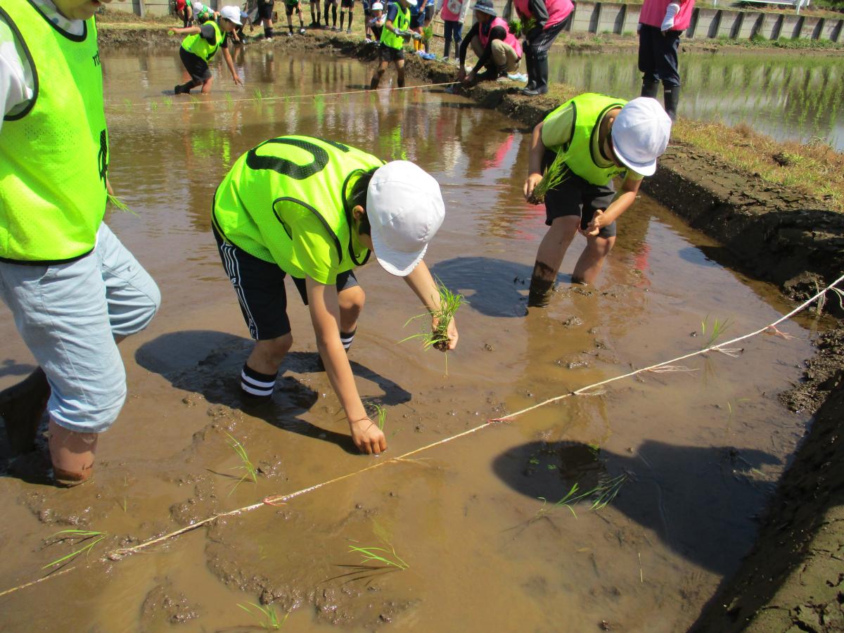浜学園　南女滝特訓　5年生　一年分 湘南学園小学校 » Blog Archive » 4年山の学校③