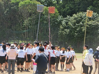 体育祭の練習、頑張っています!
