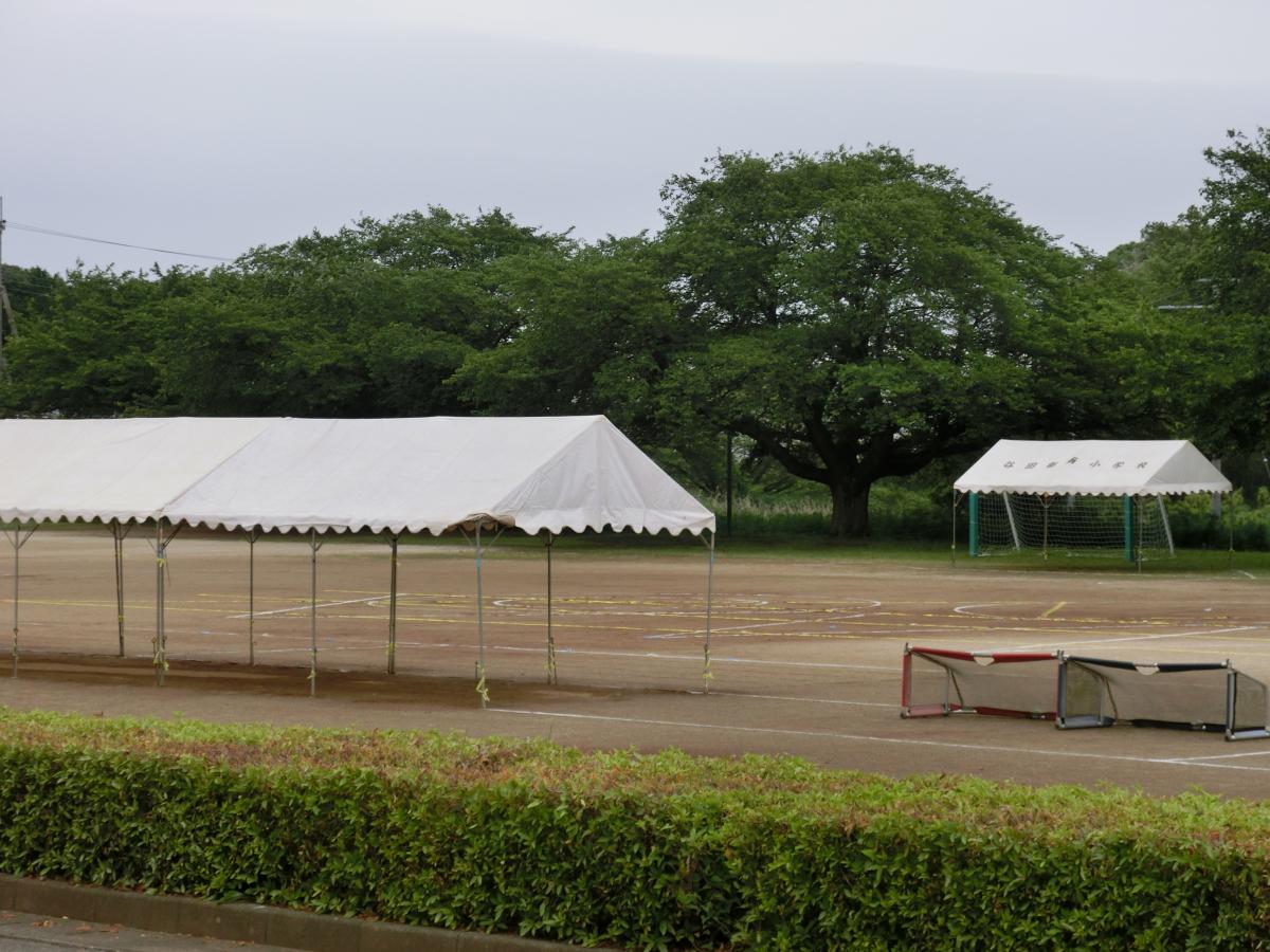 第39回運動会予定通り実施します