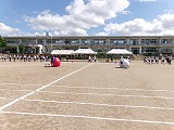 今週末は運動会!!