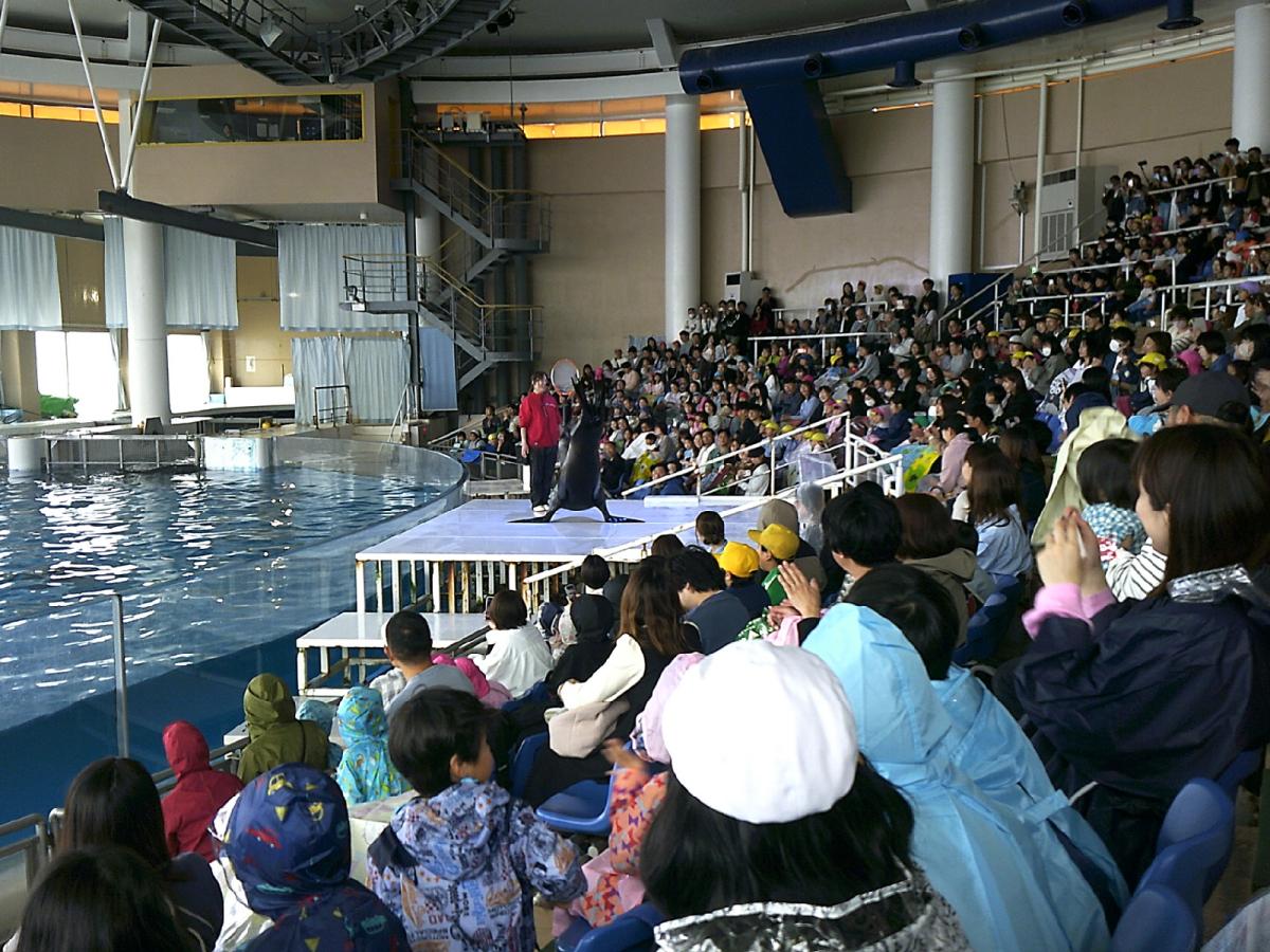 1・2年生校外学習(大洗水族館)
