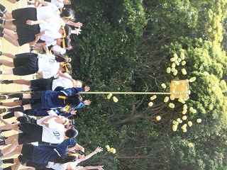 体育祭➉ 縦割り団体種目