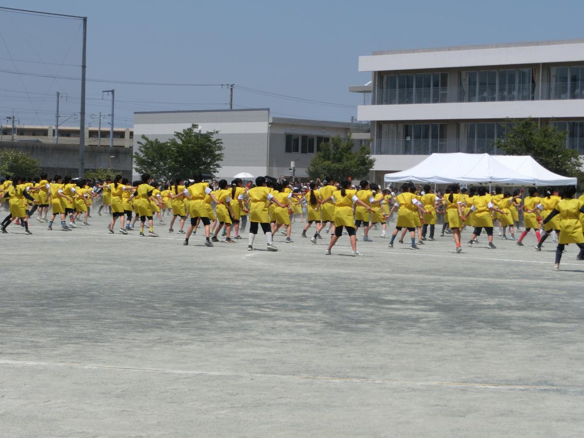 みんなで創り上げた運動会 ~一人ひとりが輝く舞台に~