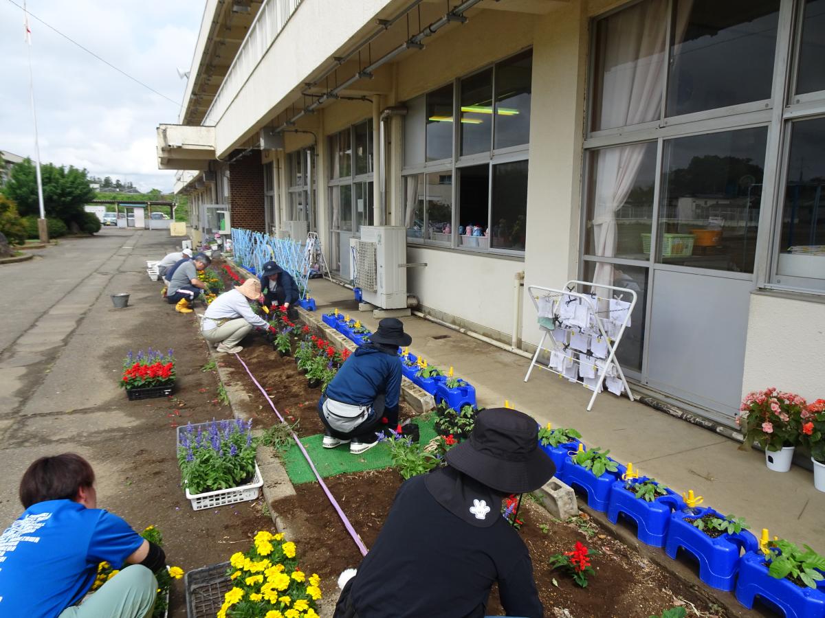 花壇にお花を植えました。