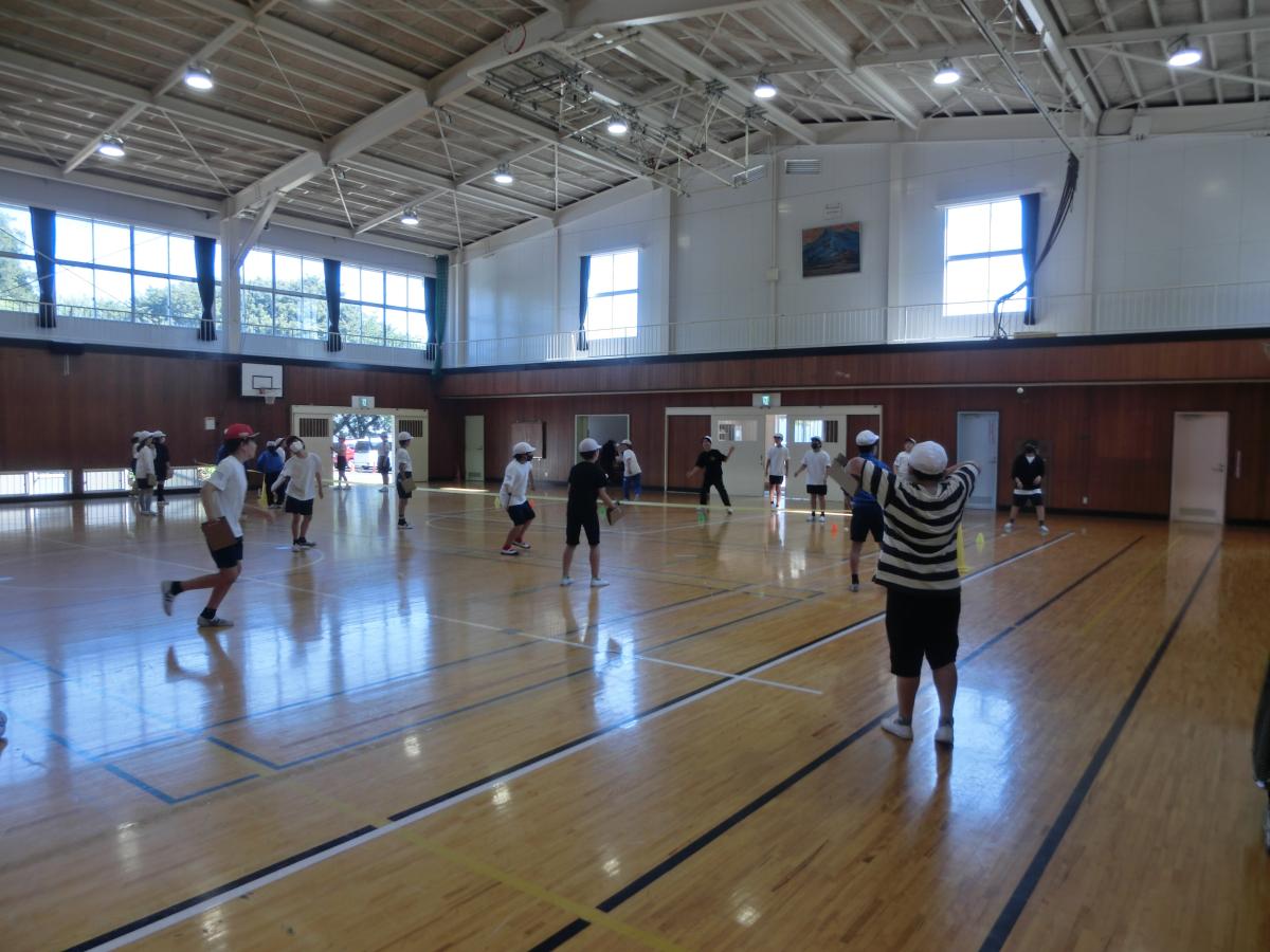 「テニピン」に挑戦!