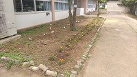 花壇バージョンアップ