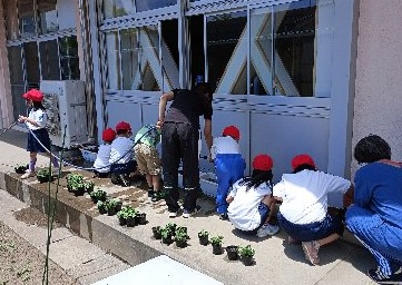 植え替え中です
