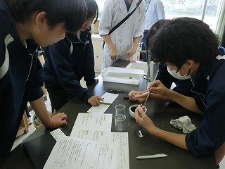 8年理科「化学カイロを素早く発熱させるには」