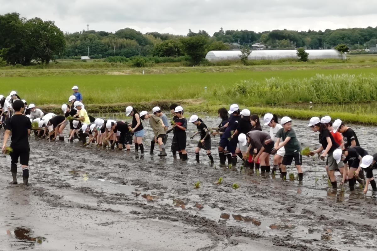 感謝の気持ちを込めて!