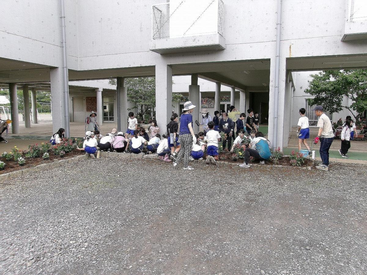 6月15日 美化委員とPTA環境委員による花壇への花植え