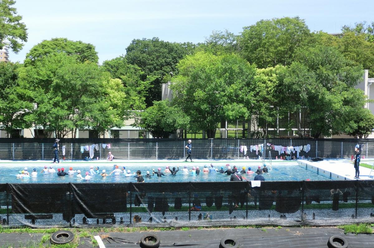 3年生体育「水泳学習」