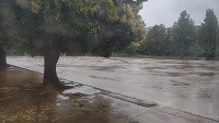 雷鳴!緊急下校実施