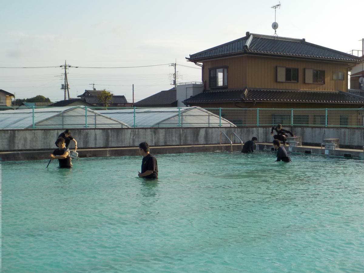 来週からのプール学習に向けて、最終チェック!