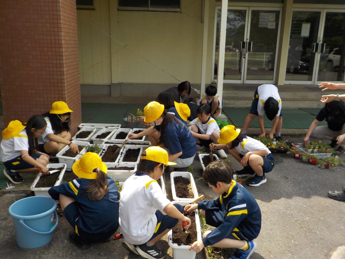 ボランティア委員会:夏に向けて、学校を明るく!