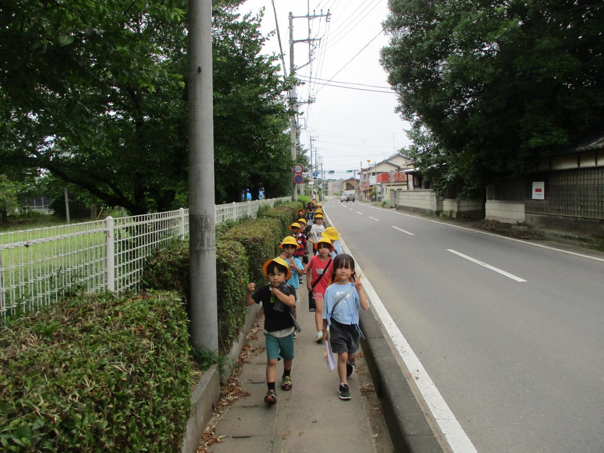 学校の周りを探検したよ