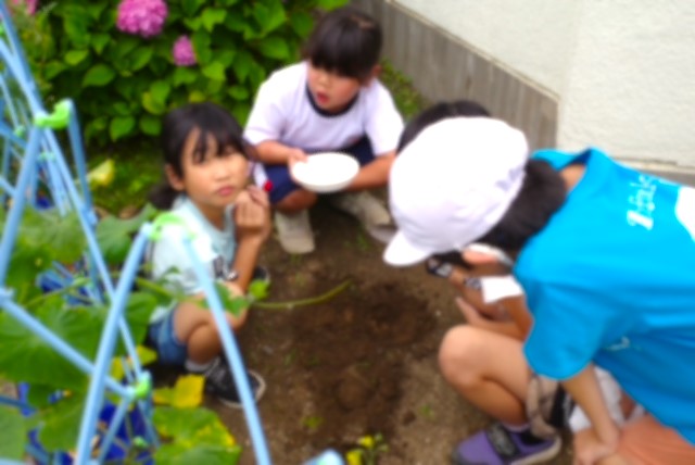 生き物博士、誕生!