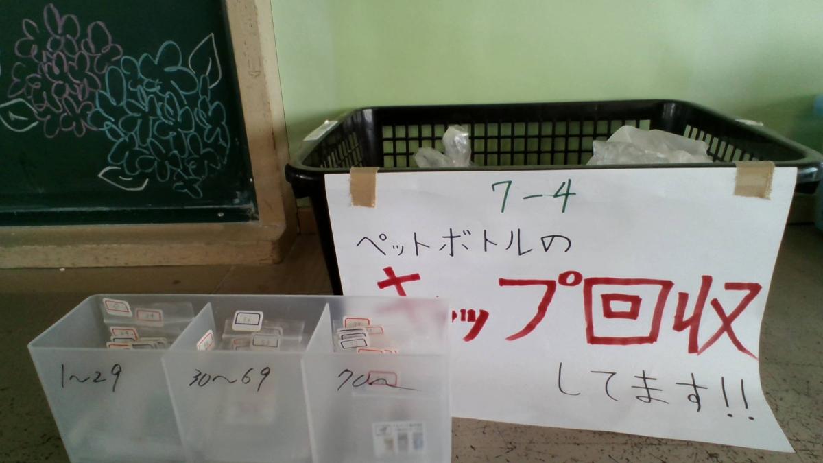 環境委員会の活動の紹介!!