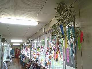 1・2年生の廊下に七夕飾り