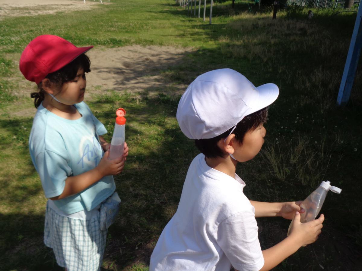 1年生 生活科「みずであそぼう」