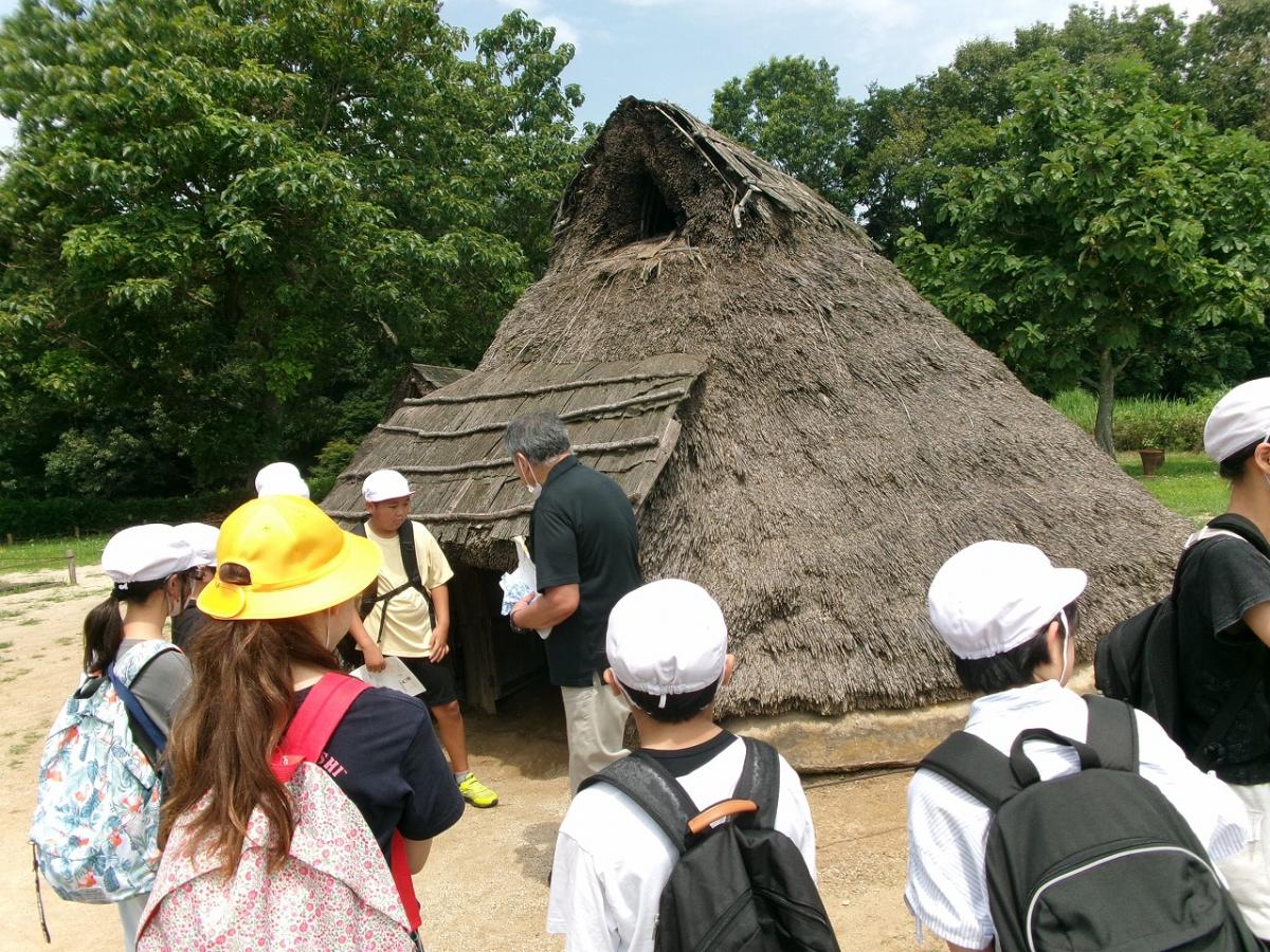 6年生 柳橋小の児童と一緒に上高津貝塚へ