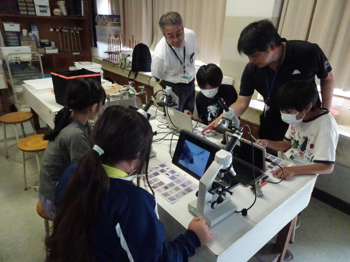 6年生環境学習・クラブ活動