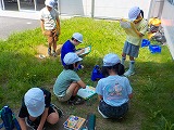 大きくなあれ!