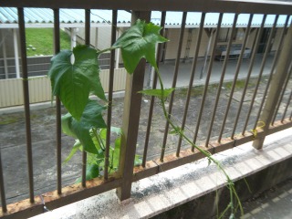 夏季研修会