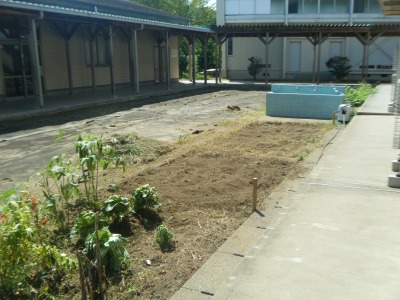 9月に向けて