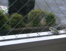 雨を感じて?