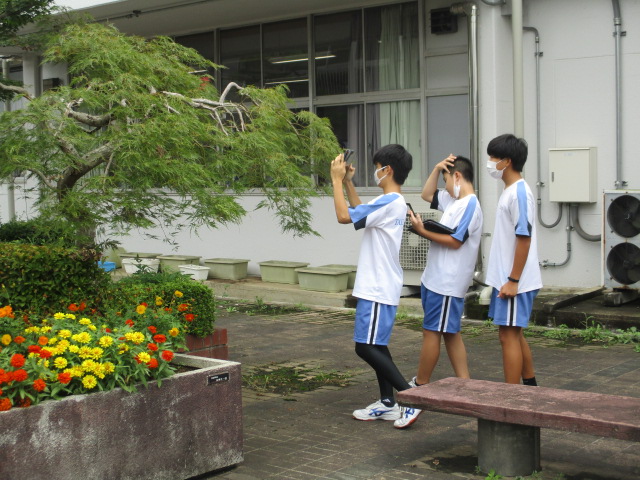 9月9日(水)9年生 美術