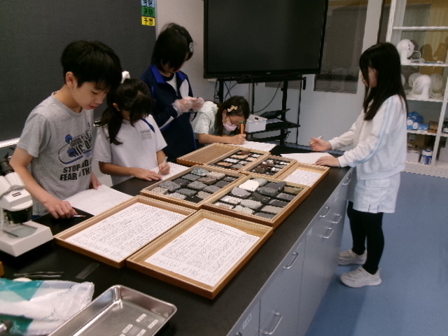 6年生:地層のひみつを探ろう!大地のつくりの学習