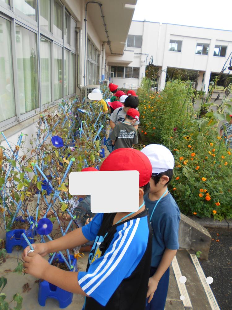 まだまだ観察がんばってます!