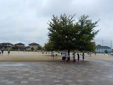 雨の合間で