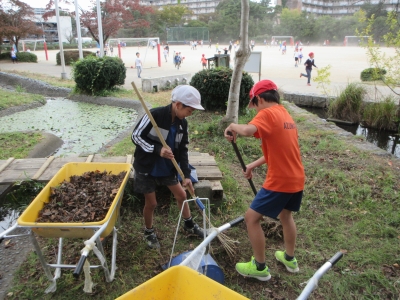 【学校より】ホタル池の清掃