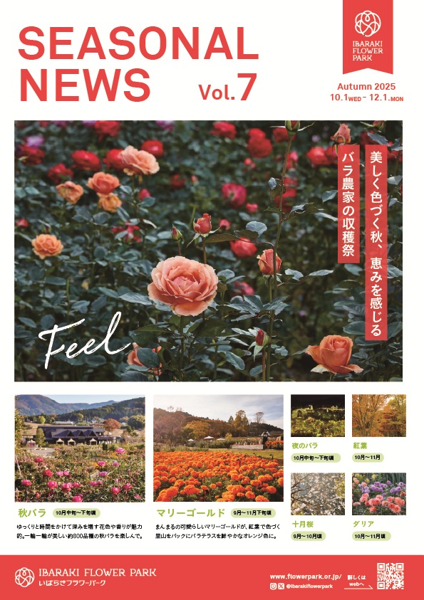 シーズナルニュース（秋）美しく色づく秋、恵みを感じる　バラ農家の収穫祭に関するページ