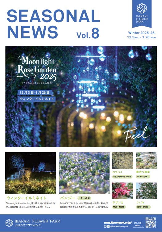 シーズナルニュース(冬)灯りと光のまほうにかかる時間(とき)に関するページ